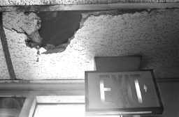 [ Rotting Roof ]