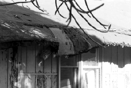 [ Rotting Building ]